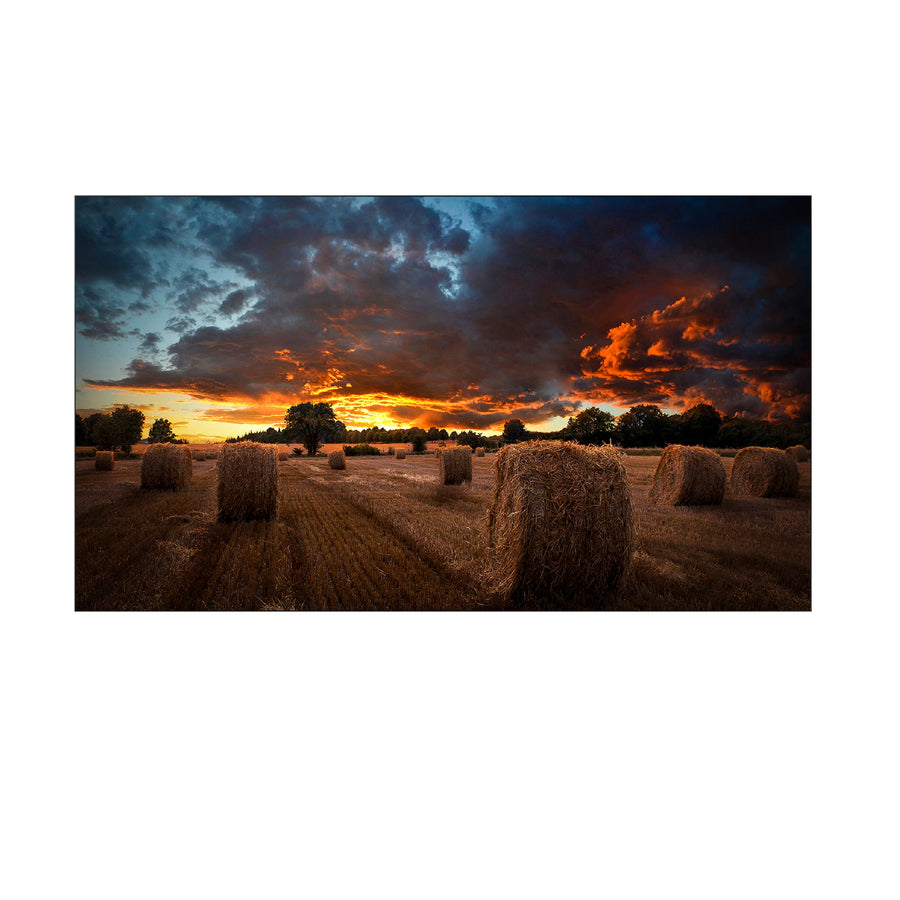 Videowall | Pantalla profesional Samsung 46 pulgadas
